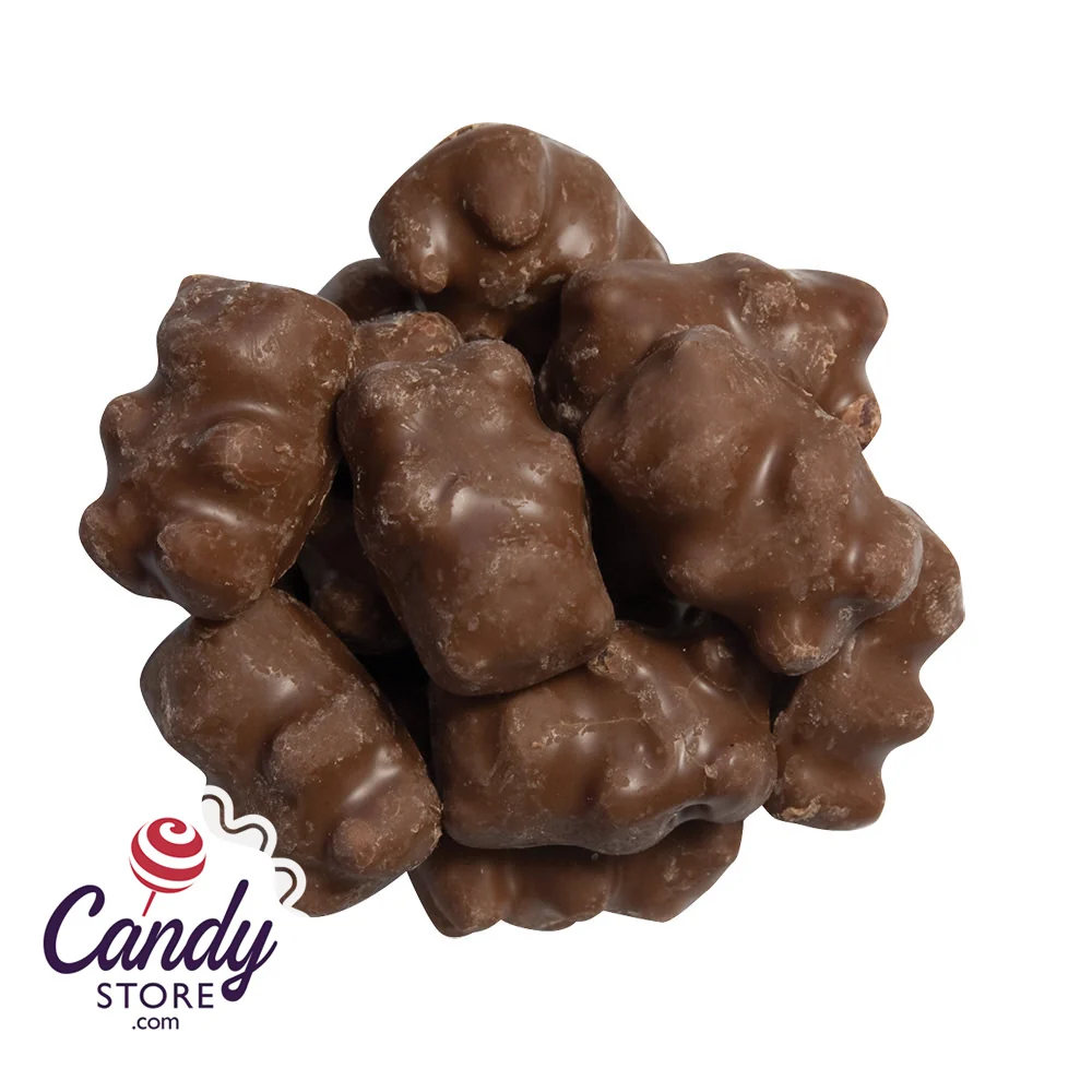 Cinnamon Chocolate-Covered Gummy Bears - 13.5lb