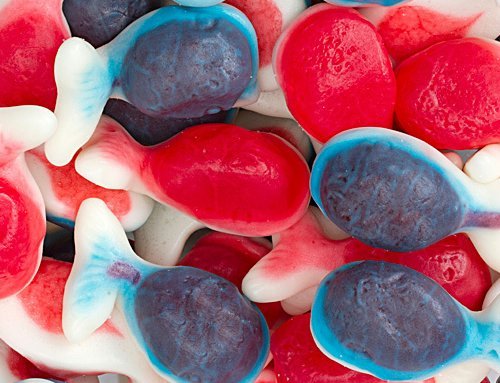 Jelly-Filled Gummy Whales - 2.2lb