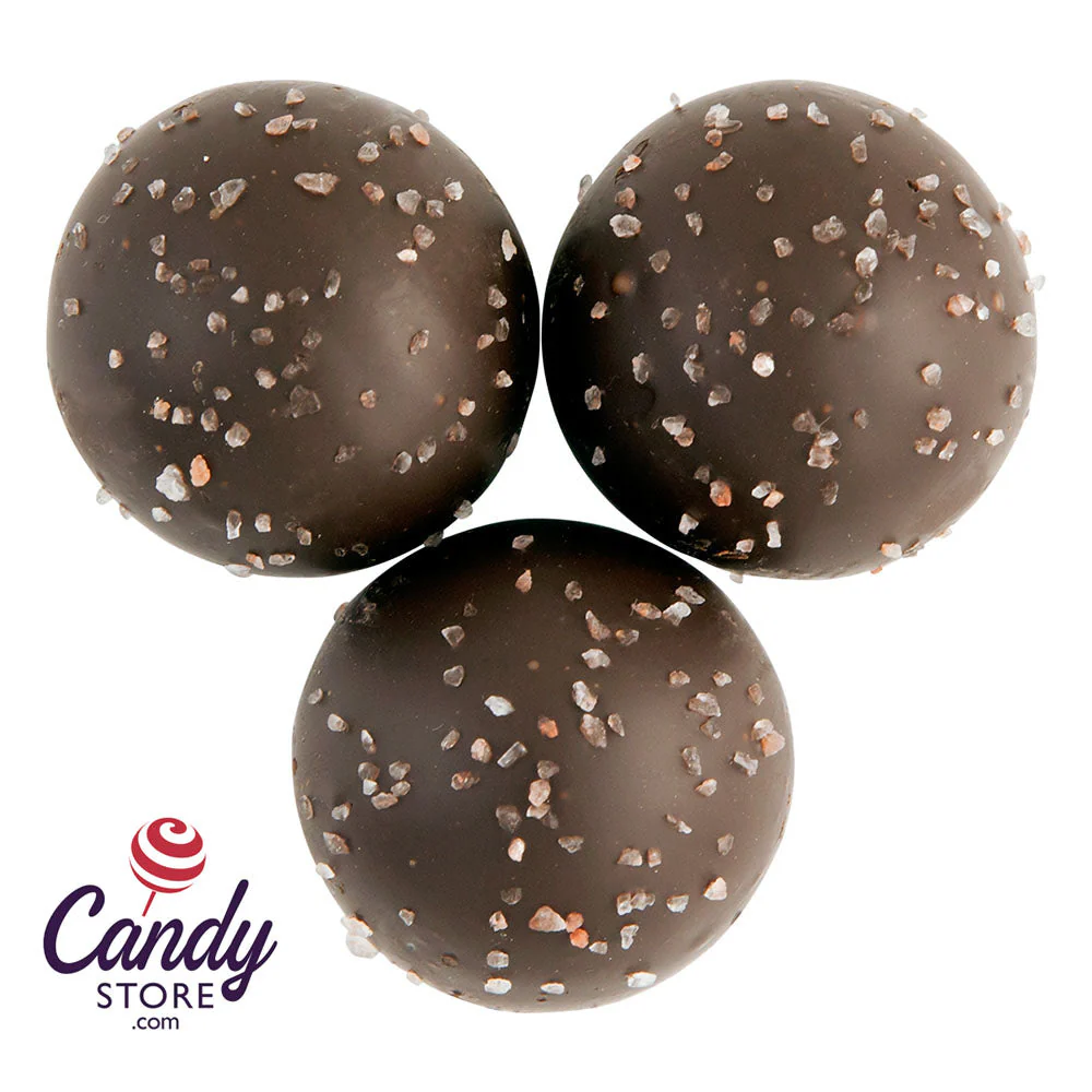 Sea Salt Caramel Dessert Truffles Birnn Dark Chocolate - 24ct
